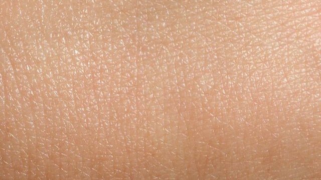 Keinermal Haut - What you need to know about this Haut type - Al+ Cosmetics